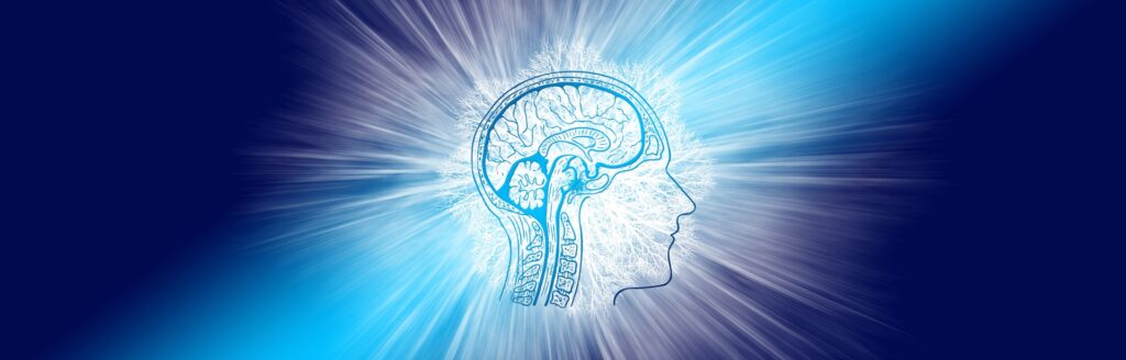 Oikealle katsovan ihmisen pään sivuprofiili sinisellä pohjalla. Pään sisällä näkyvät aivot ja aivorunko. 
